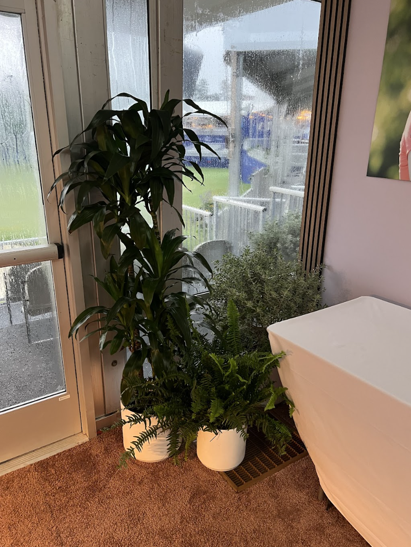 Screenshot 2026-01-08 at 1.17.32 PM.png