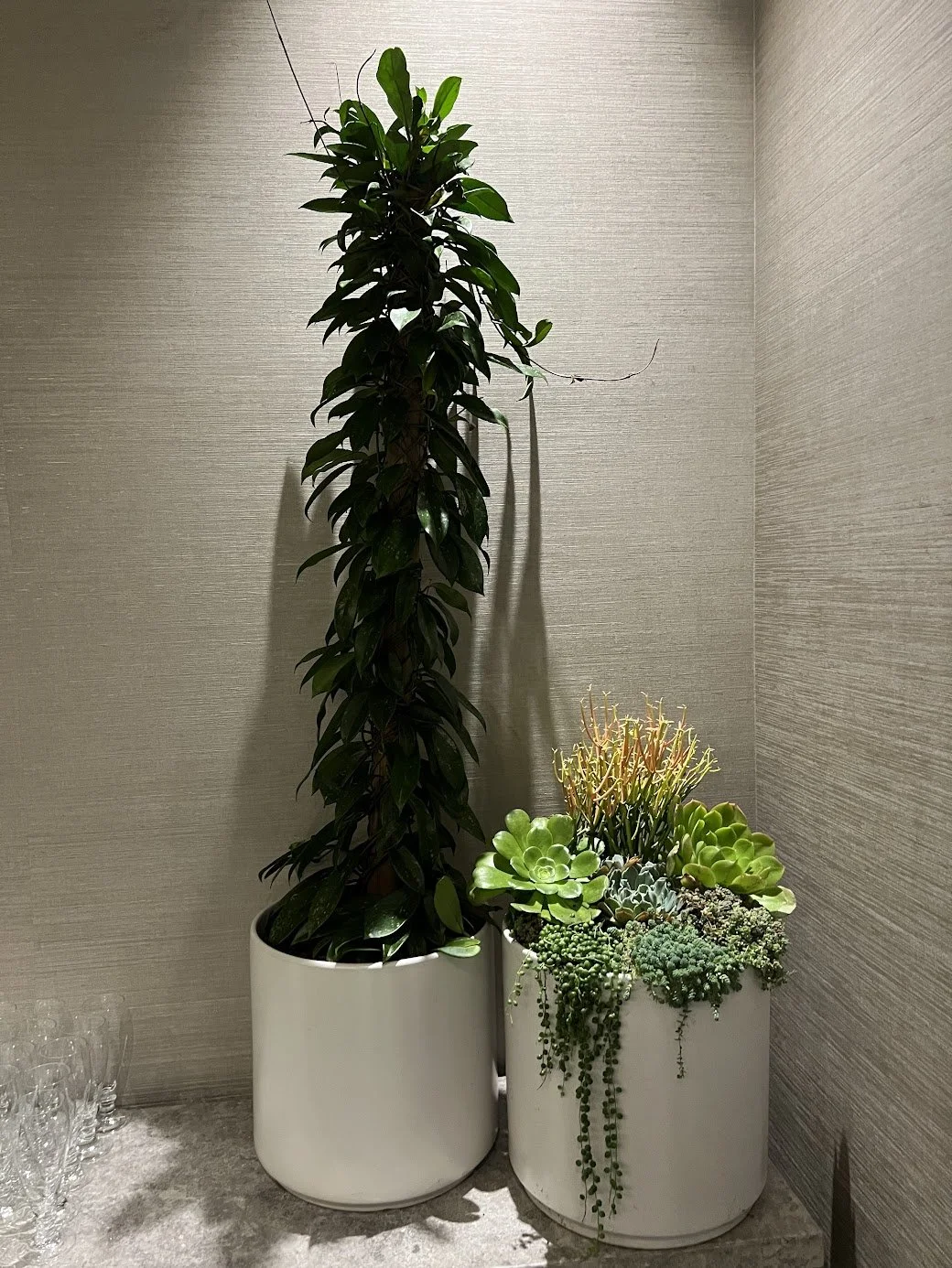 unnamed-22 1.29.29 PM.jpg