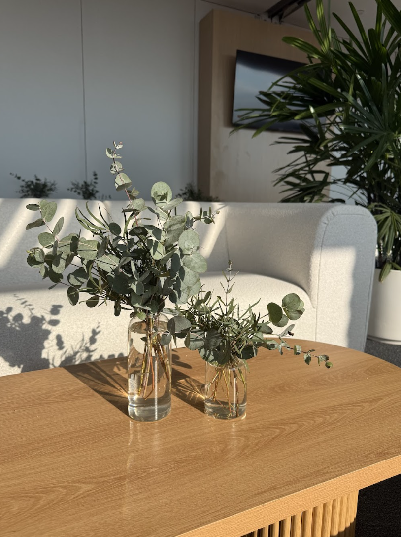 Screenshot 2026-01-08 at 1.47.59 PM.png