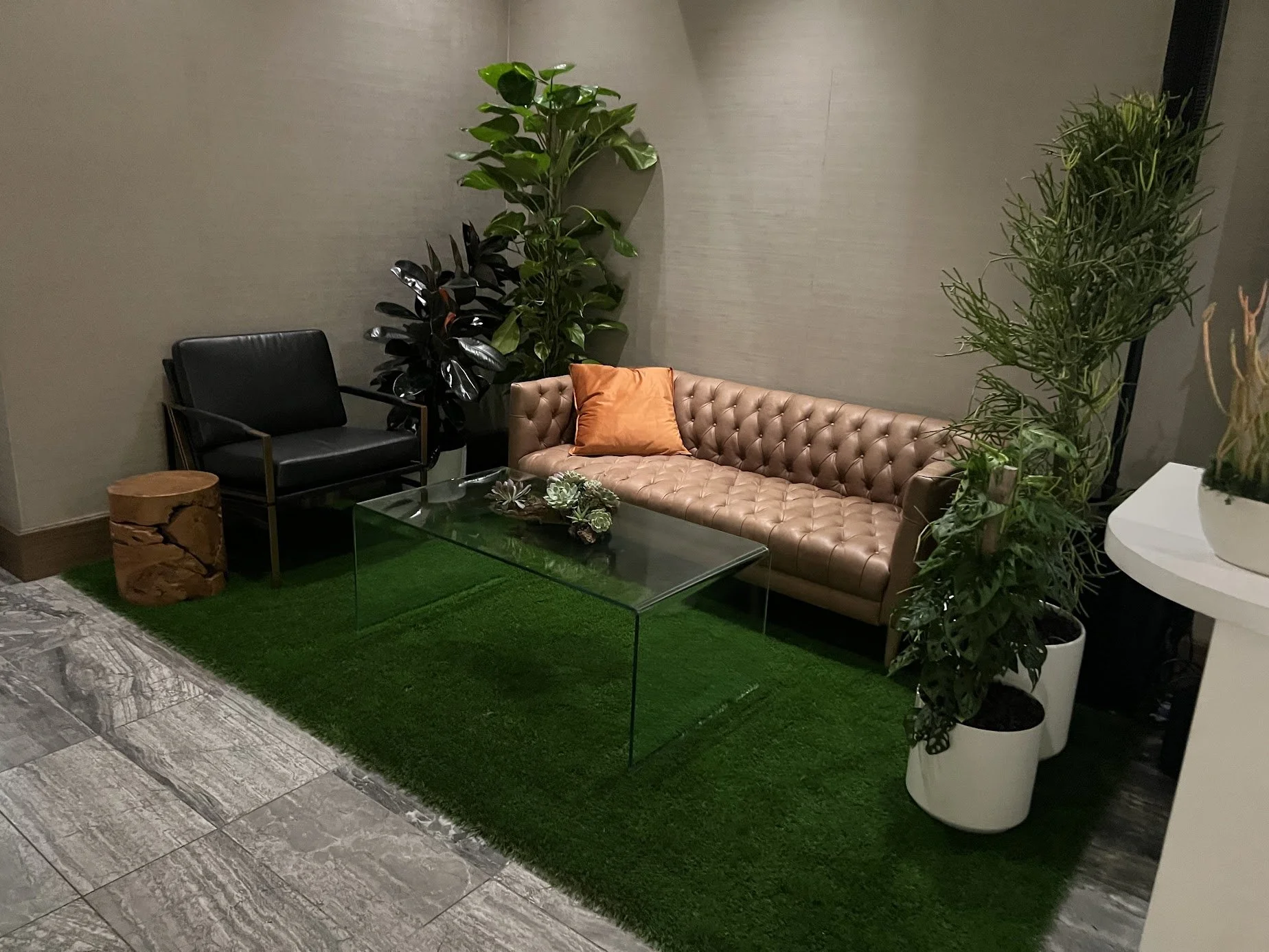 unnamed-24 1.29.29 PM.jpg