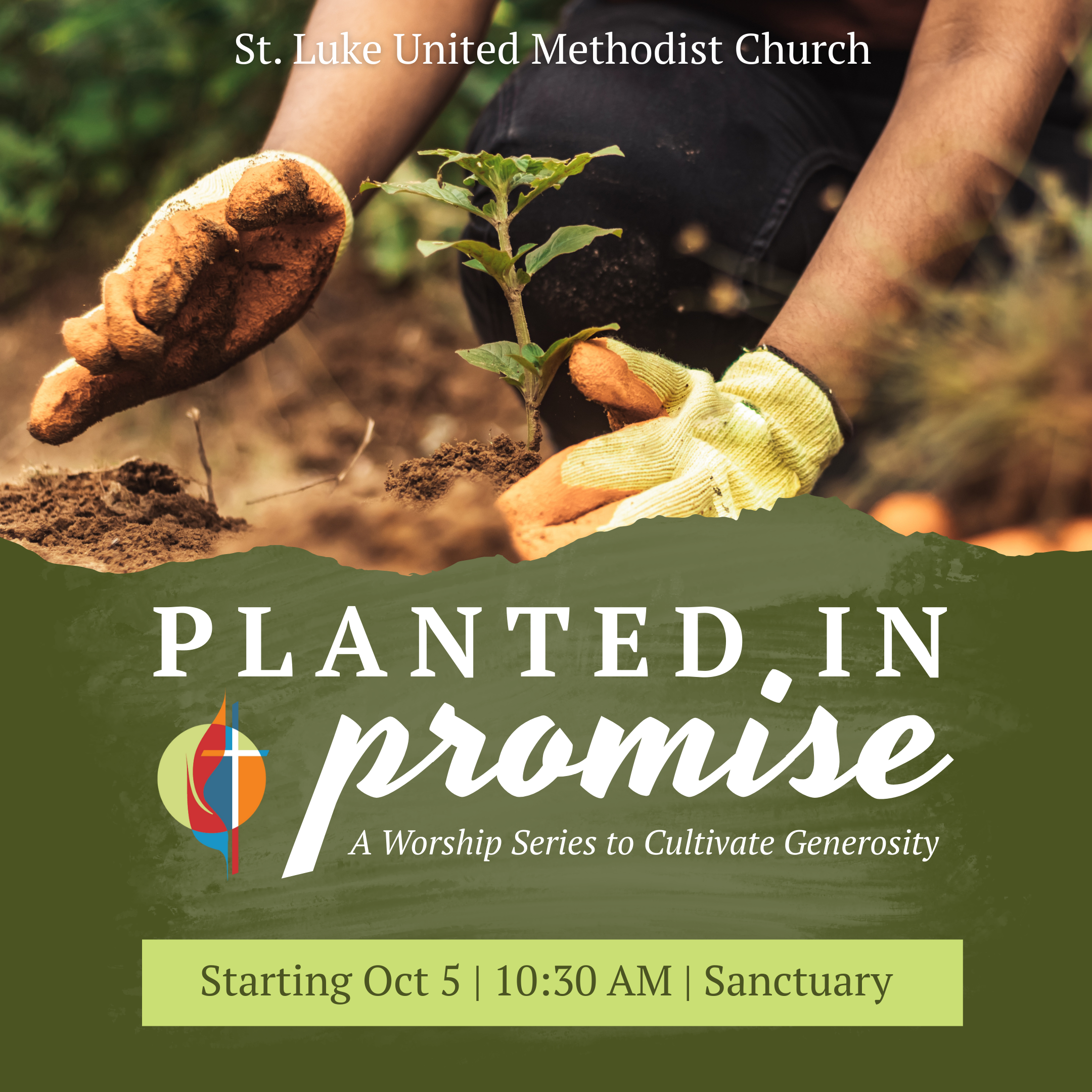Planted in Promise