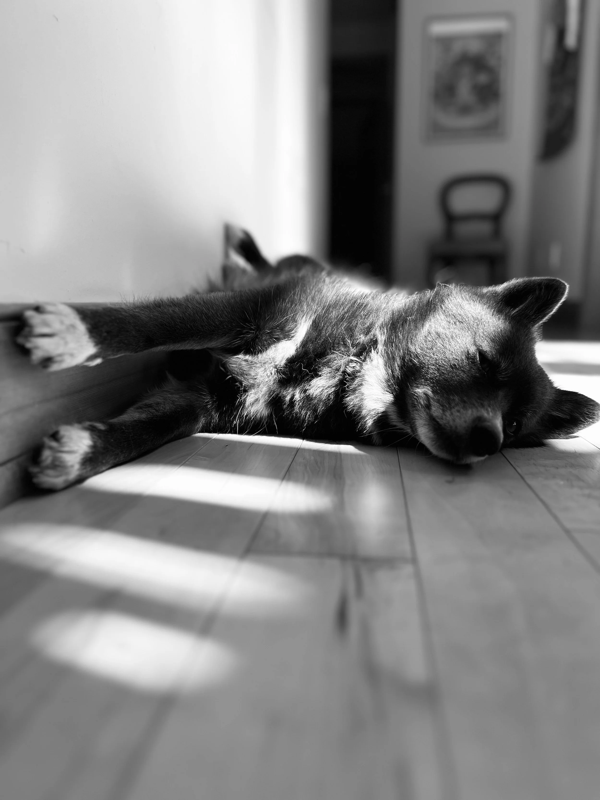 “I Just Need a Break”:&nbsp;Questions to Ask Yourself + Practical Tools for Rest