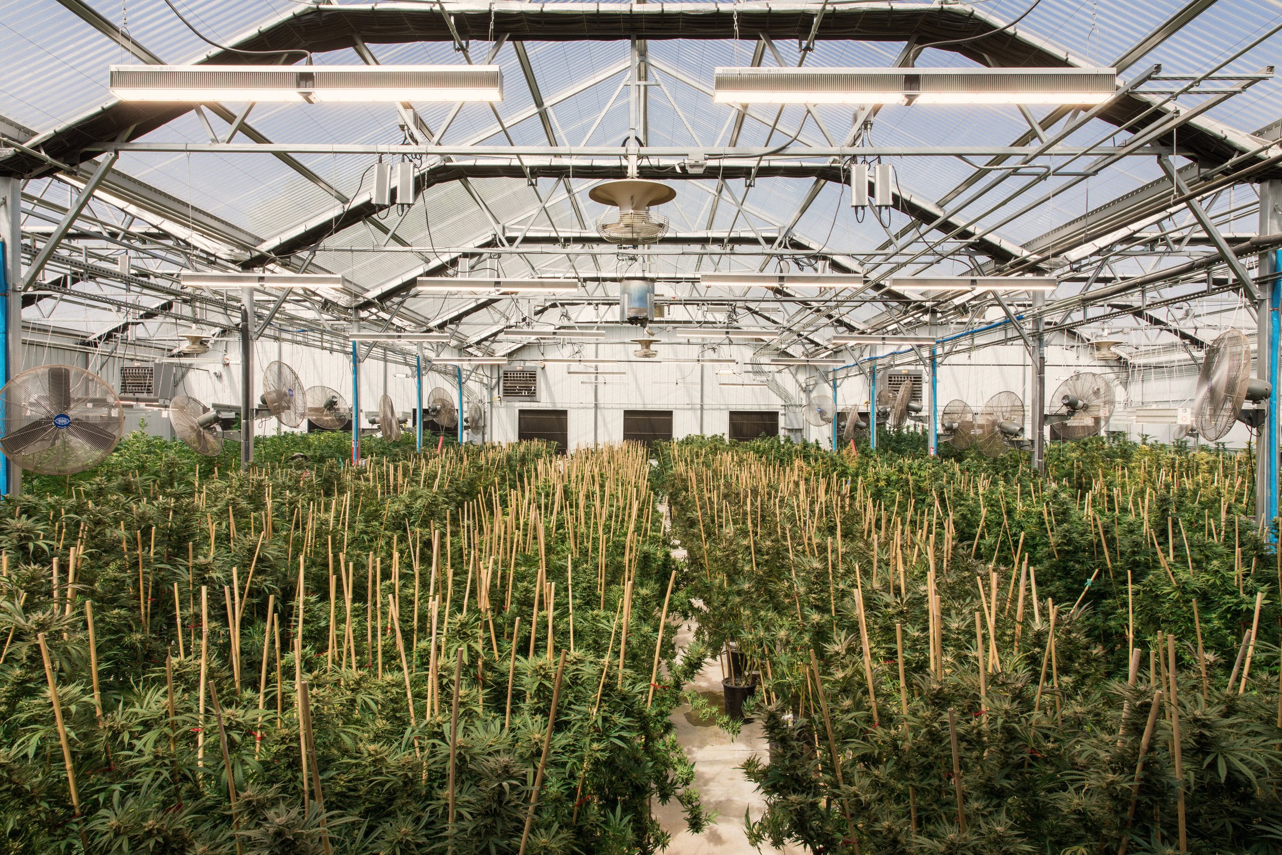 SWOP-Farm-110.jpg
