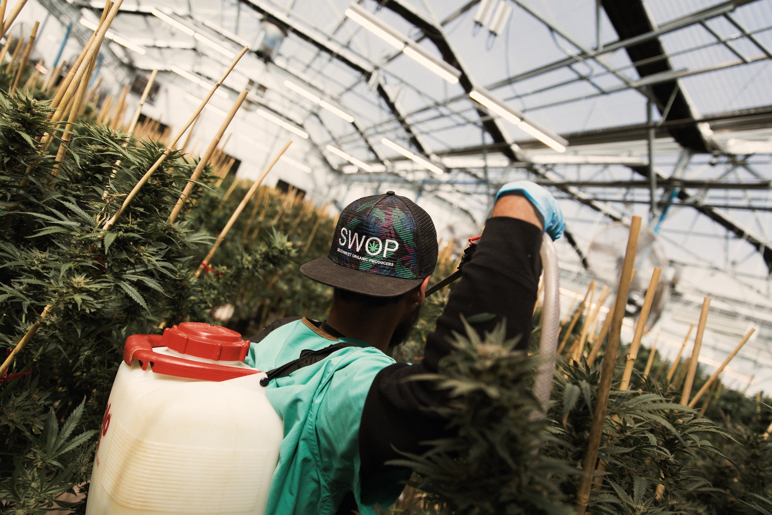SWOP-Farm-128.jpg