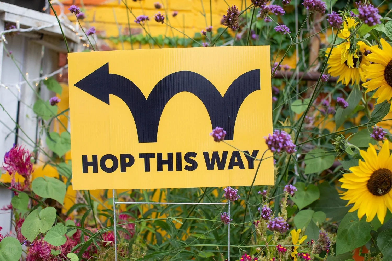 Art Hop Weekend at Switchback