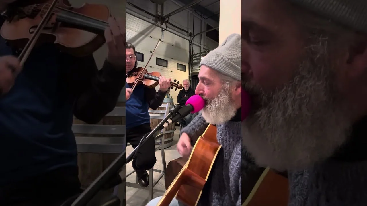Live Music: Dan Weintraub