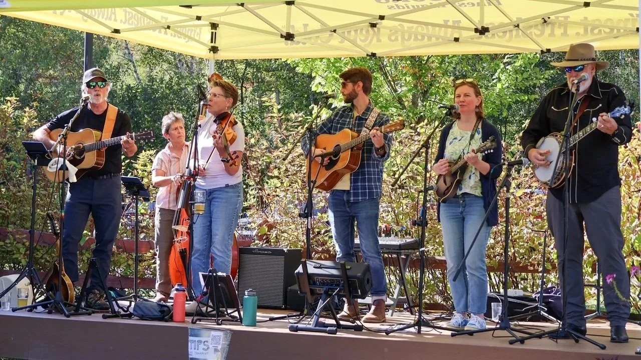 Live Music: Switchel