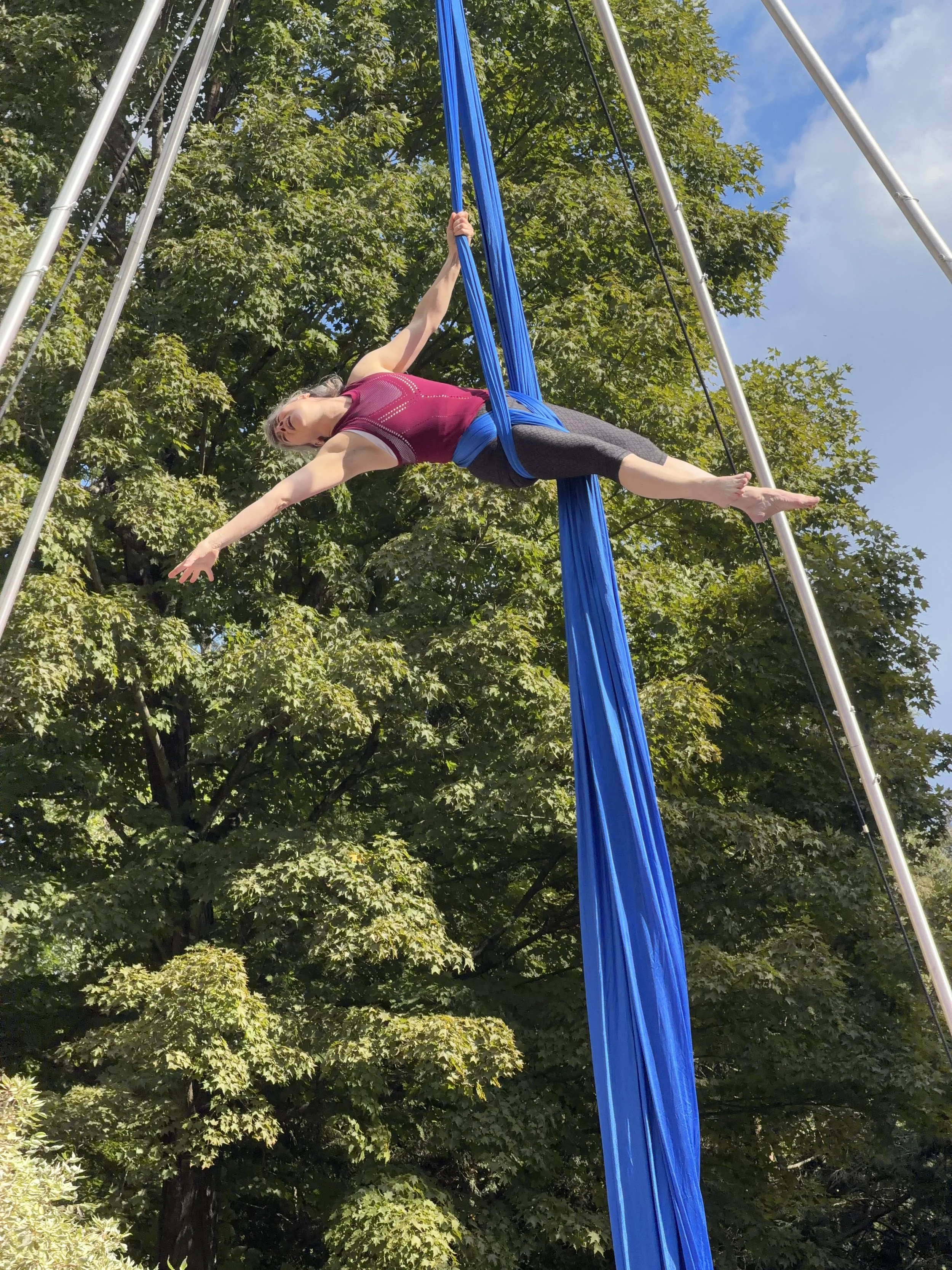 Aerial Performances with Murmurations Aerial Dance