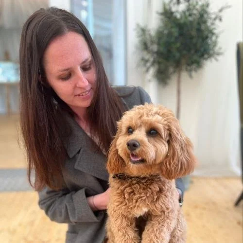 Laura Findlay | Solo Paws