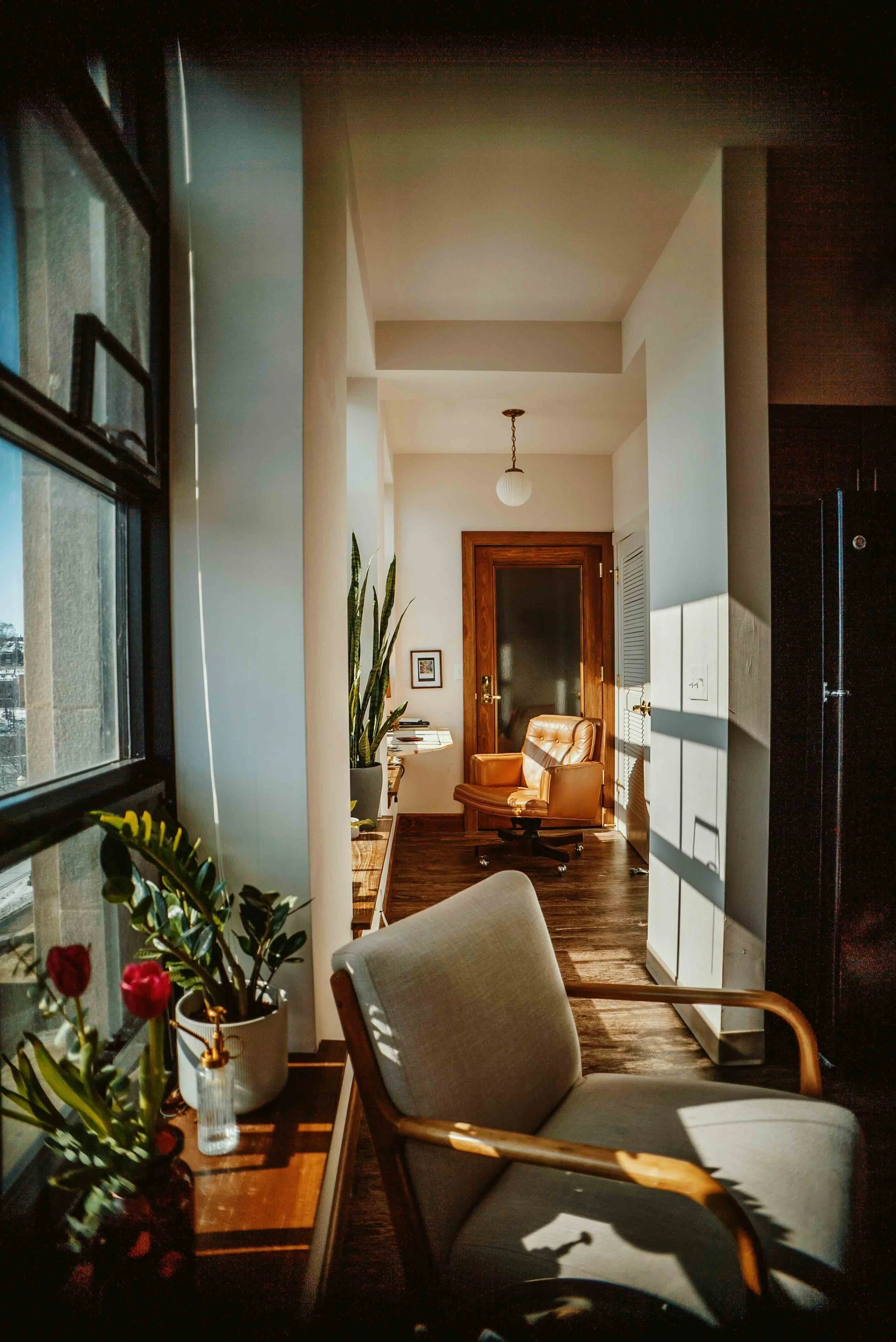 A sunlit therapy office with two chairs, plants, and warm natural light