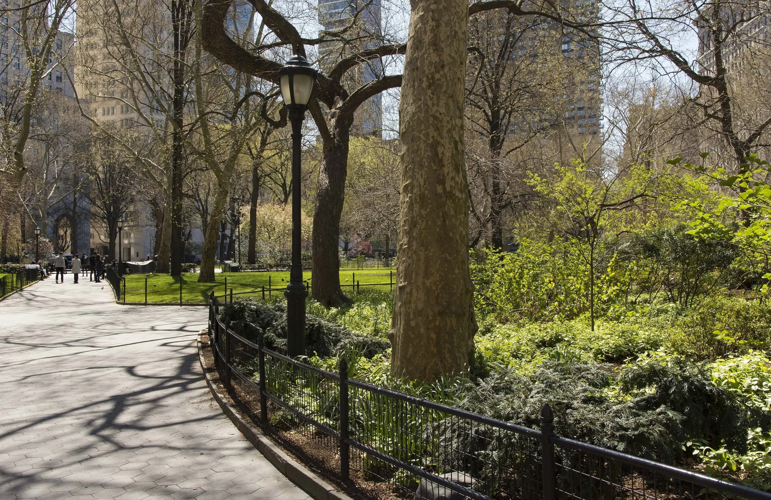 A park in New York City