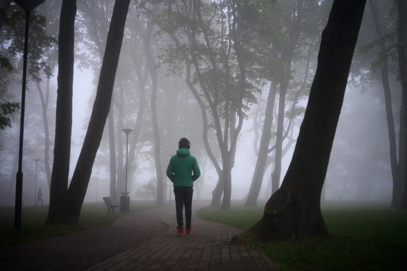 A person standing alone in a foggy park