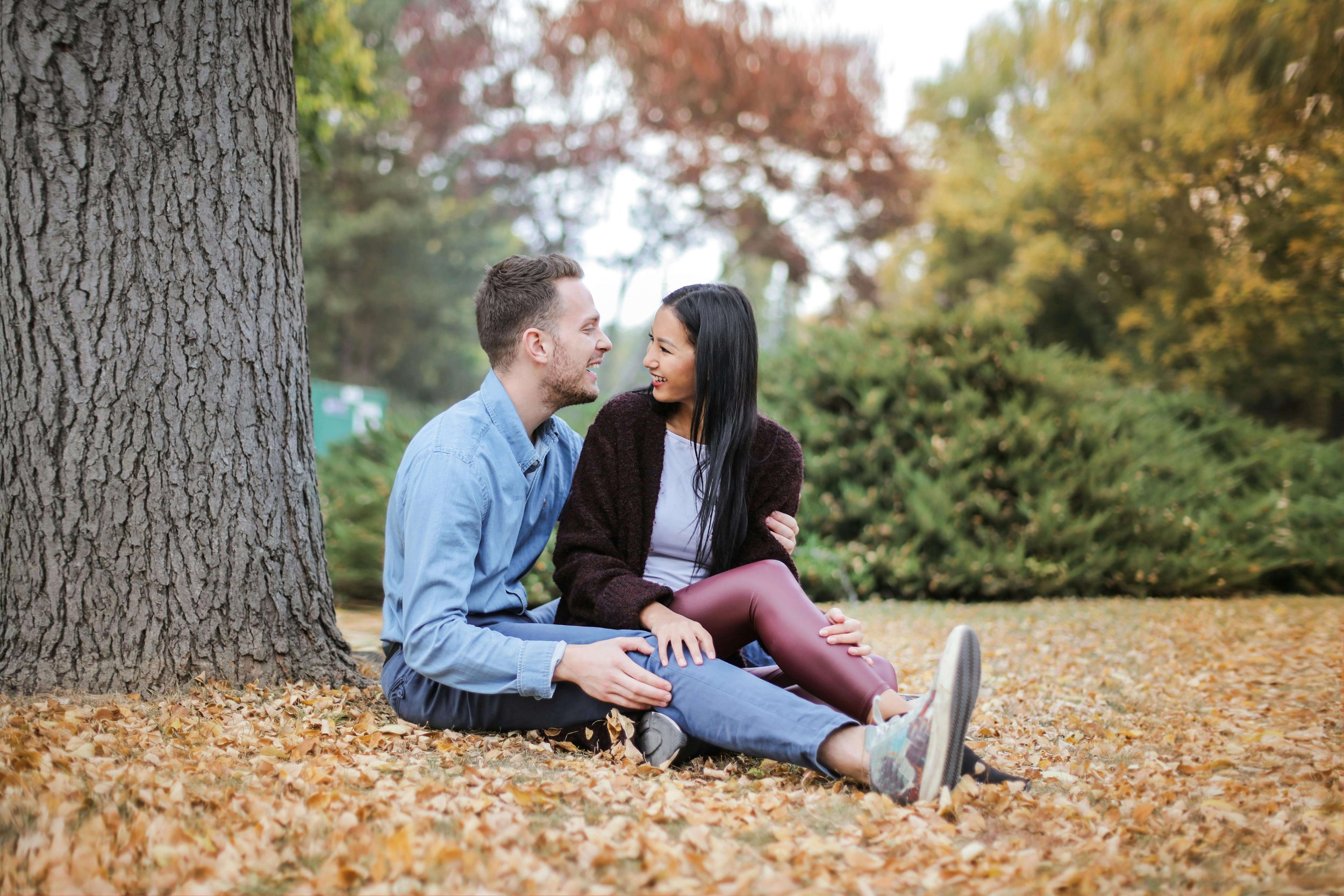 A couple sitting together under a tree in a park