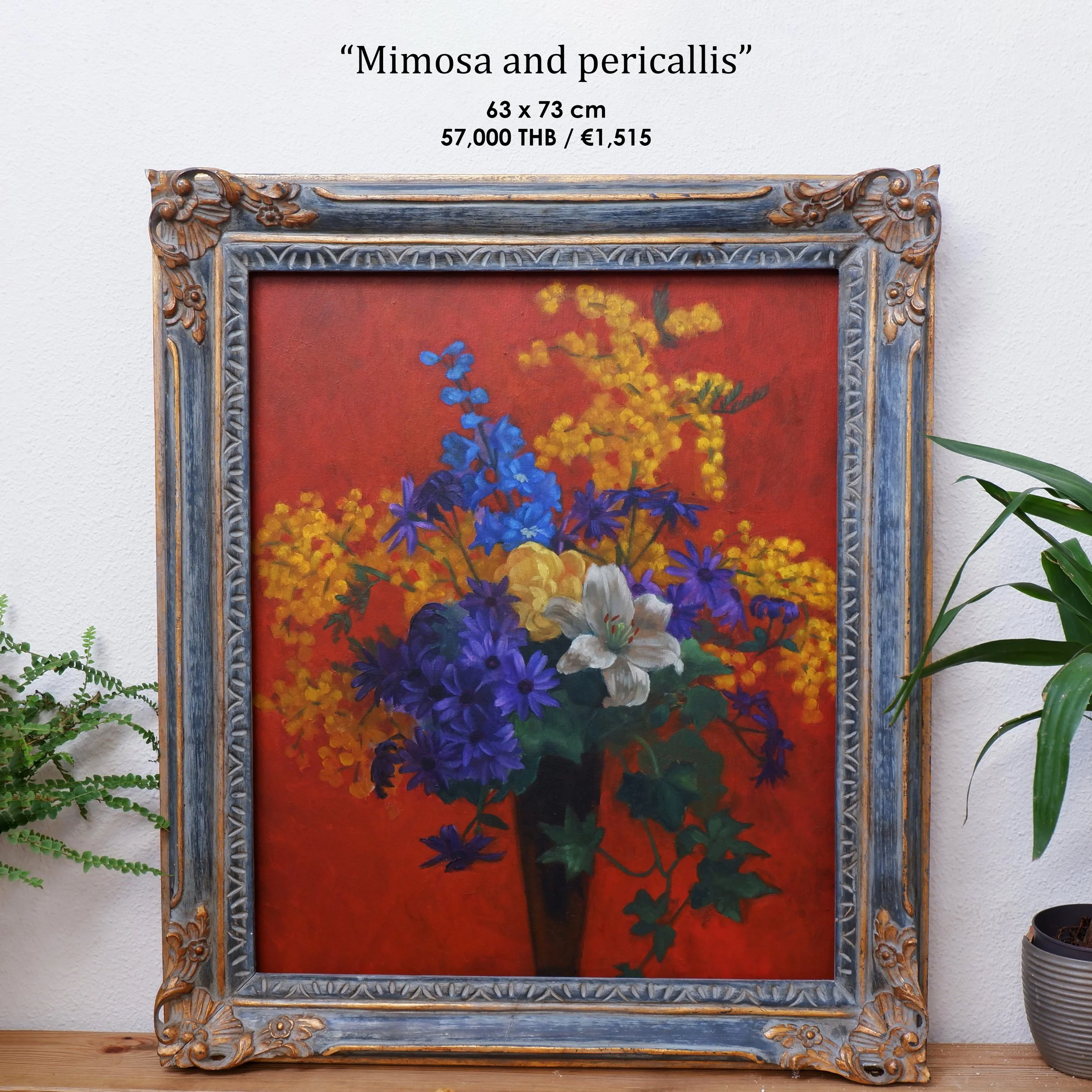 2 mimosa and pericallis copy.jpg