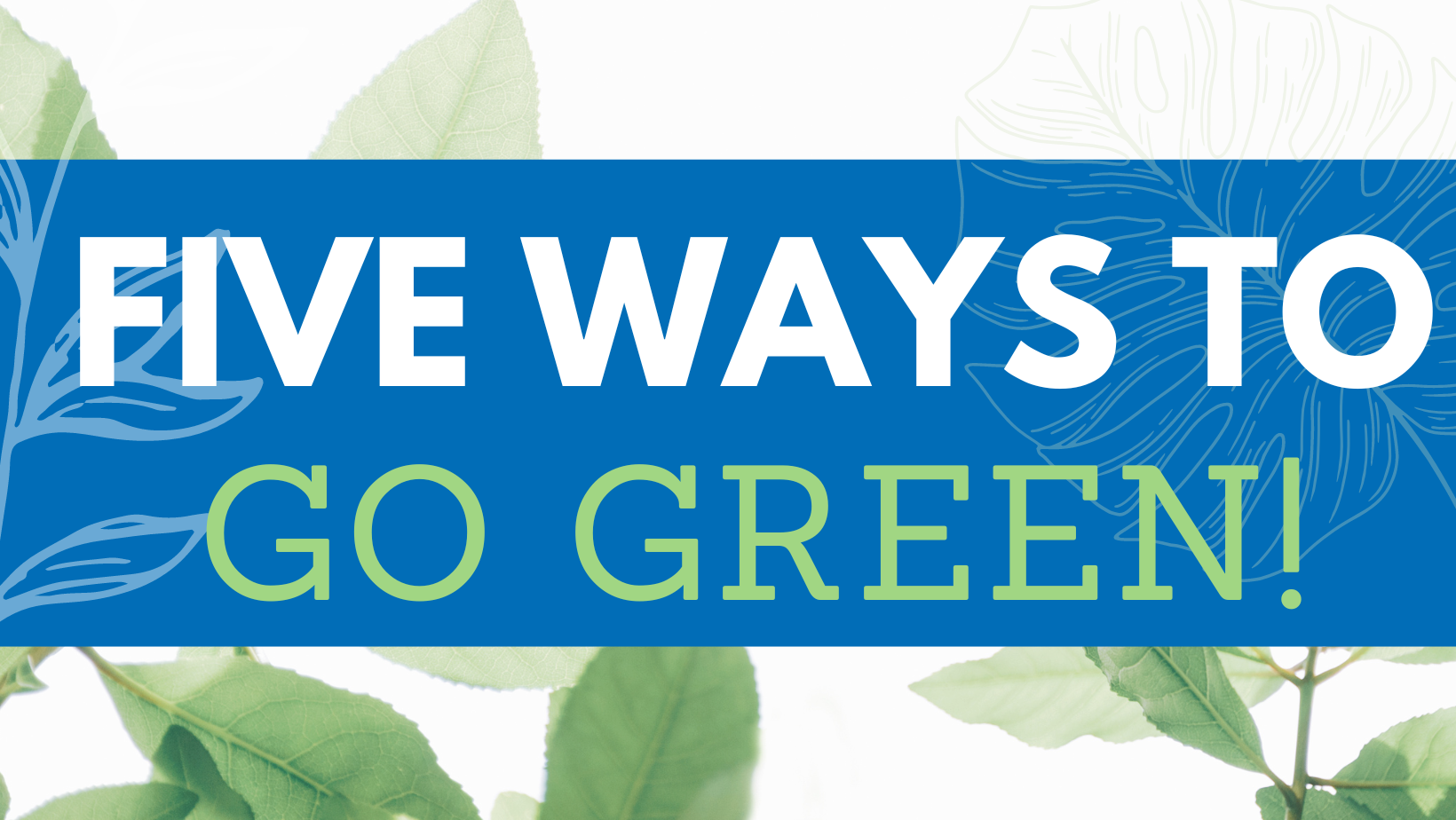 It’s Not Easy Being Green