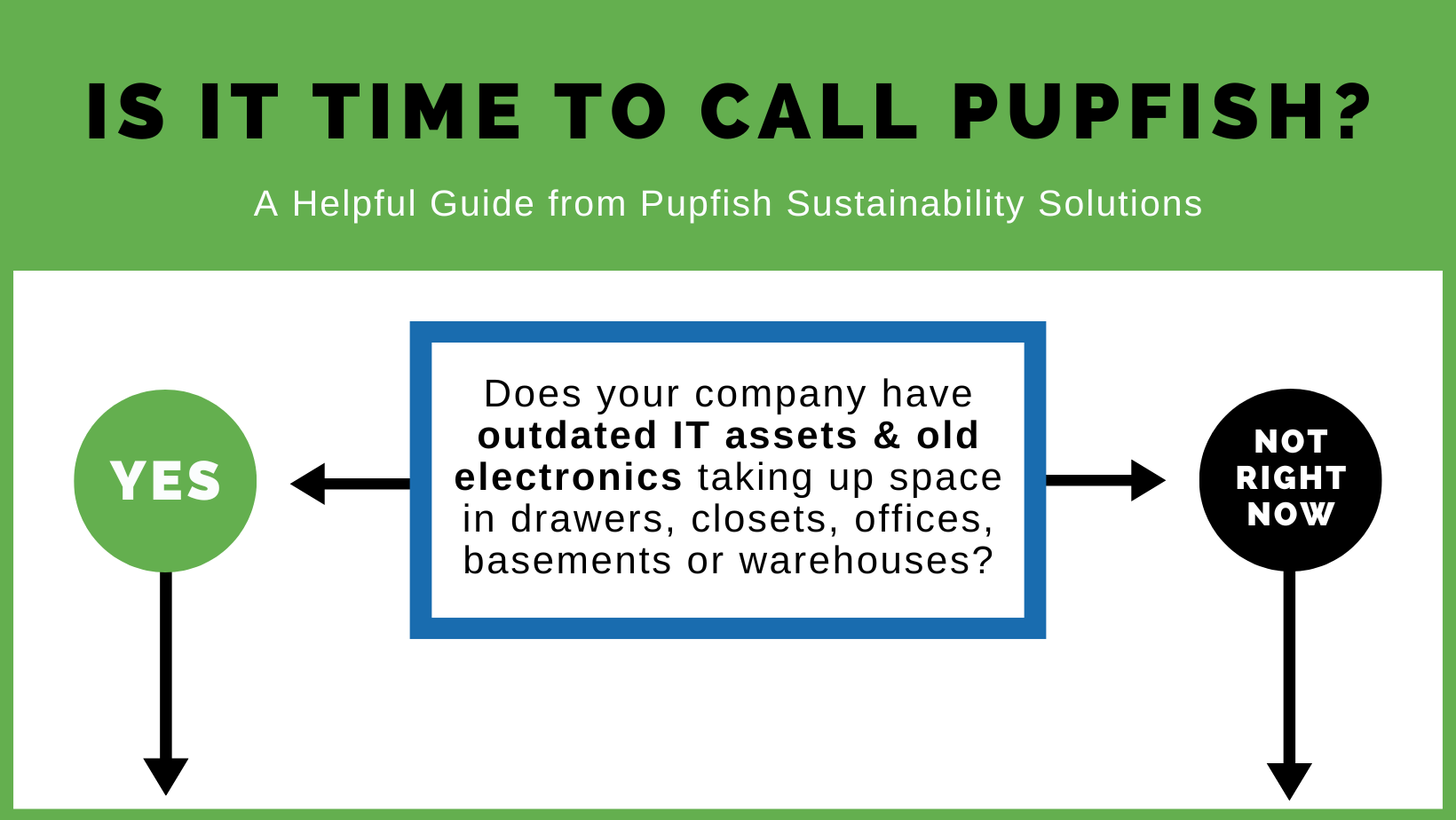 Is it time to call Pupfish?