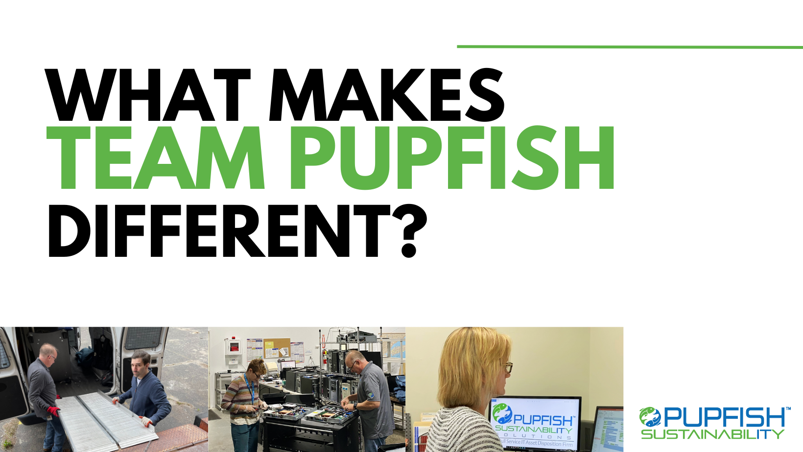 What makes Team Pupfish different?