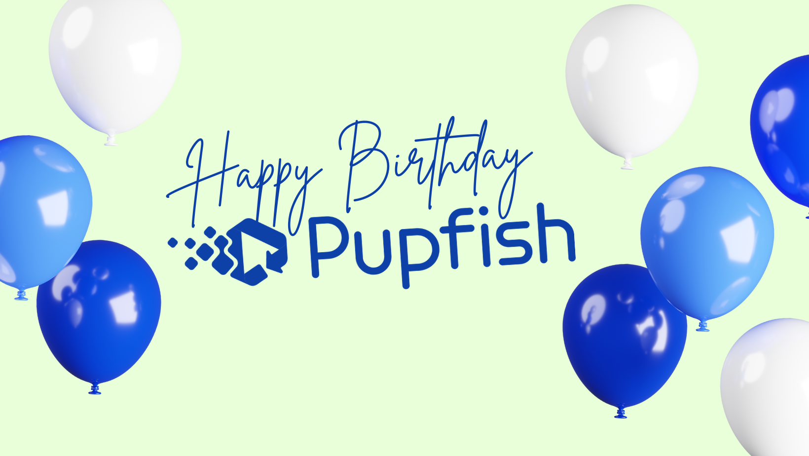 A Birthday Gift for You