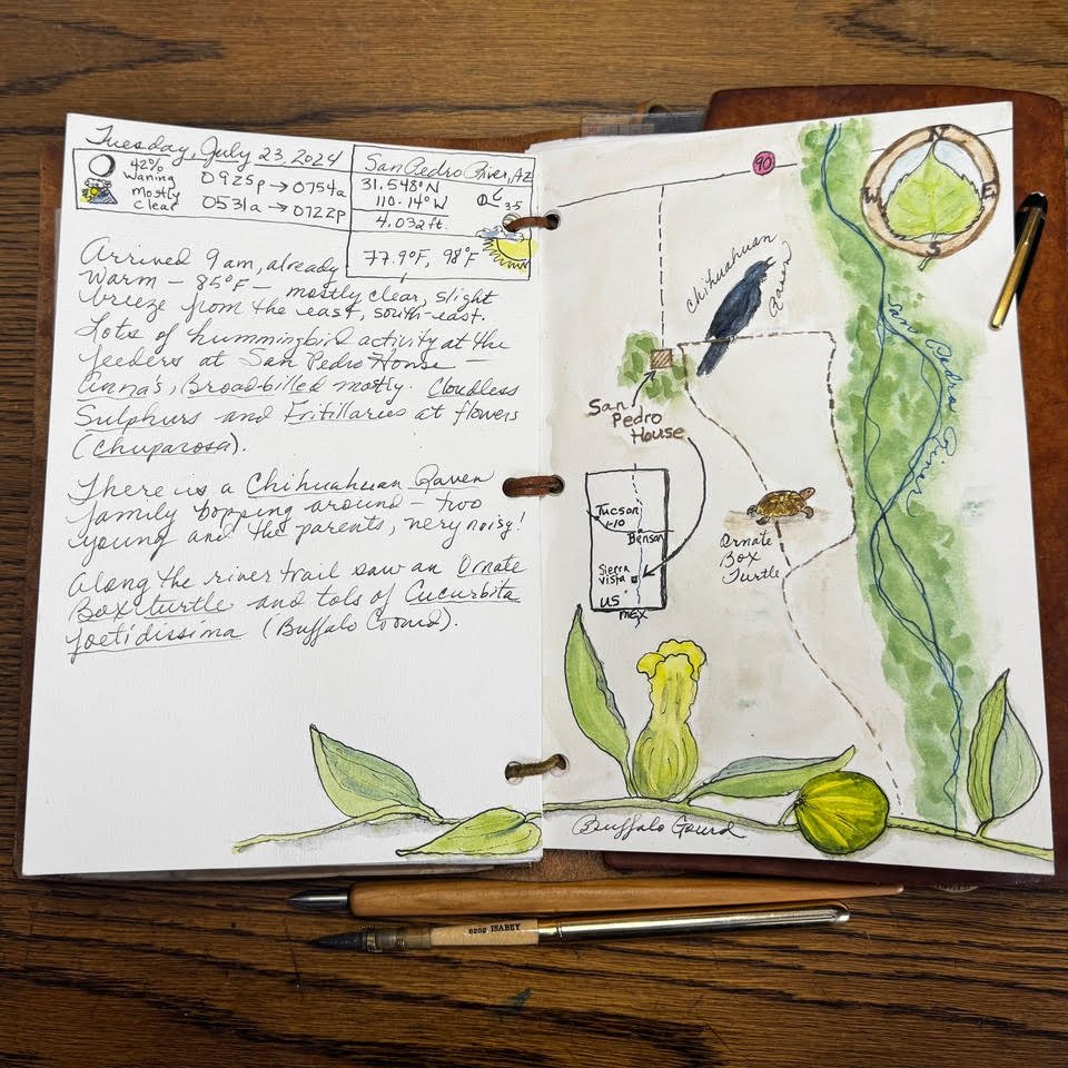 Roseann_CartographyClass_page.jpg