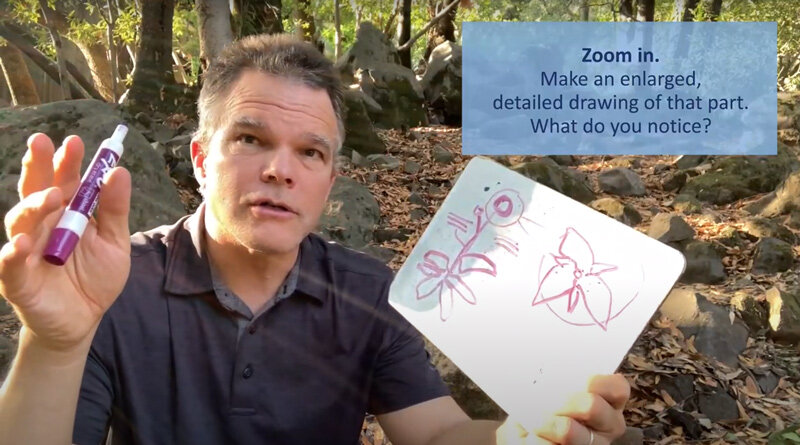 Are you eager to learn to nature journal.....or eager to invite someone else to nature journal? Or perhaps you are a homeschool or classroom teacher who wants to integrate nature journaling into your teaching? You will want to check out the Nature Jo