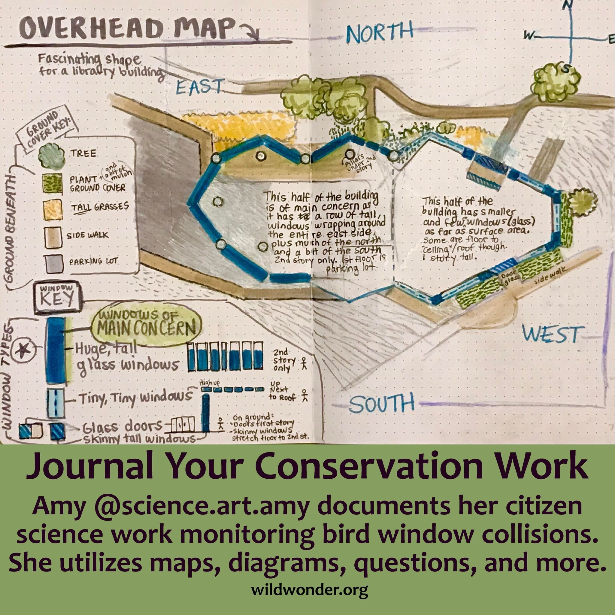 Journal Your Conservation Work: Amy @science.art.amy documents her citizen 
science work monitoring bird window collisions for Madison Audubon. She utilizes maps, diagrams, questions, and more. She uses her nature journal to help her think on the pag