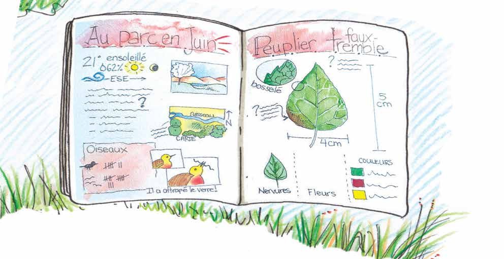 Free Download! Your Quick Start Guide to Nature Journaling — Wild Wonder  Foundation