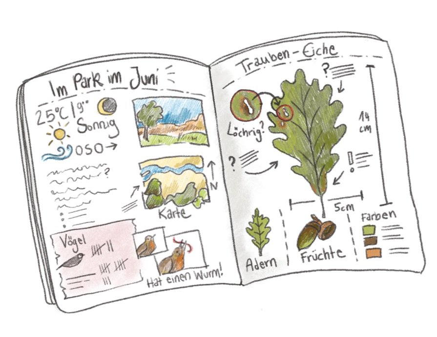 Start a Nature Journal