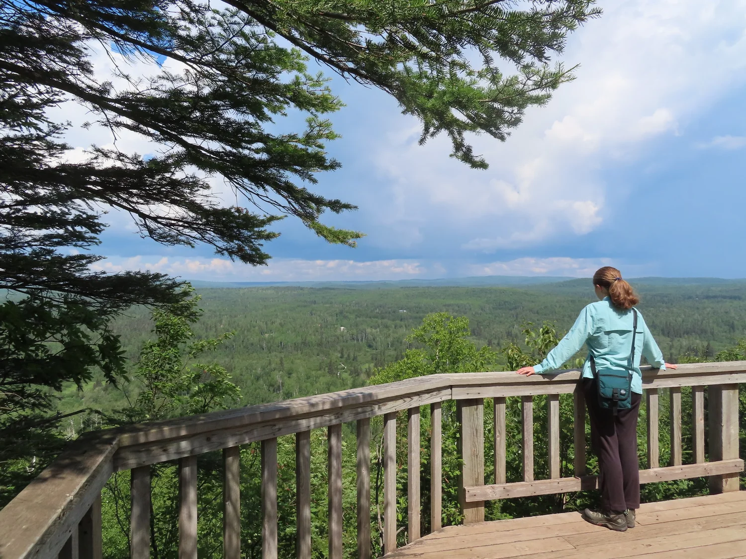 2026 Wolf Ridge Nature Journaling Summer Camp — Wild Wonder Foundation