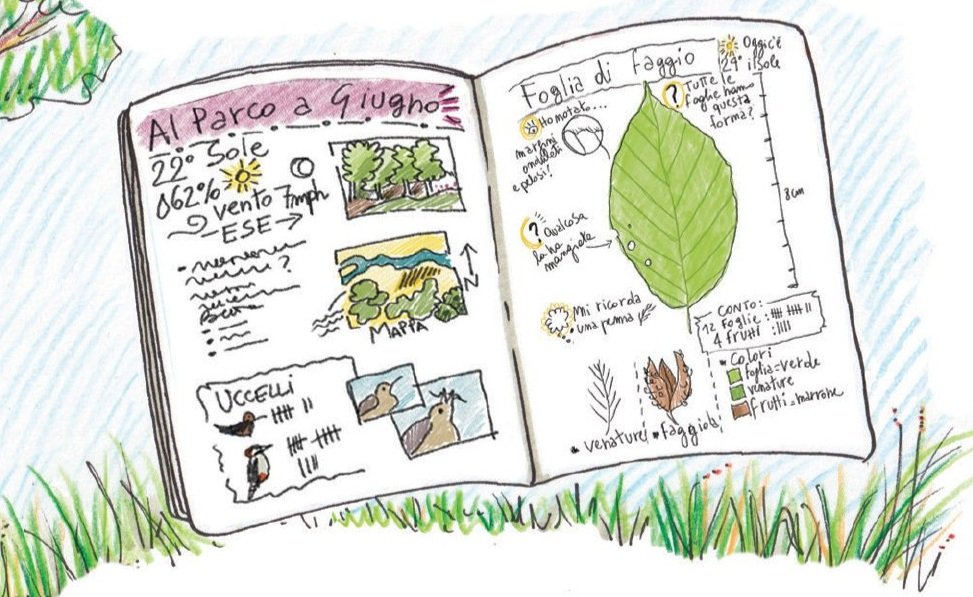 Free Download! Your Quick Start Guide to Nature Journaling — Wild Wonder  Foundation