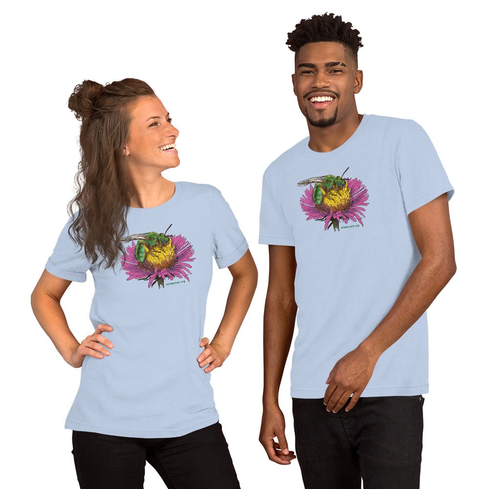 unisex-staple-t-shirt-baby-blue-front-68768f8eb32bf.jpg