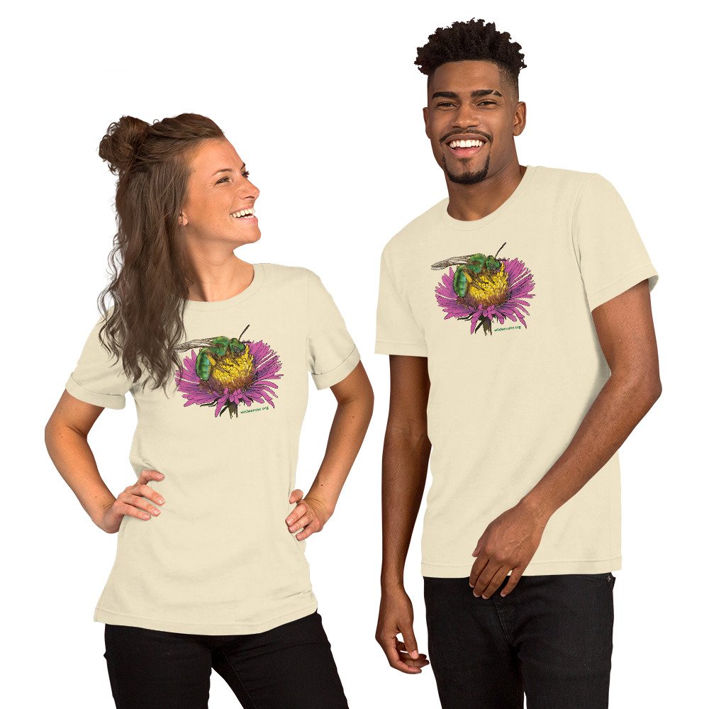 unisex-staple-t-shirt-natural-front-68768f8ebc63c.jpg