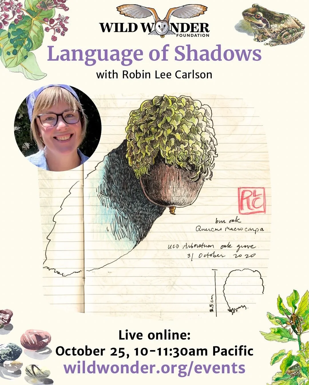 Grab your journal and get ready to chase shadows this October! From crisp leaf patterns to the swirling ripples on water, shadows are full of surprises and information, and learning to see and draw them can give your journal pages added depth and vit