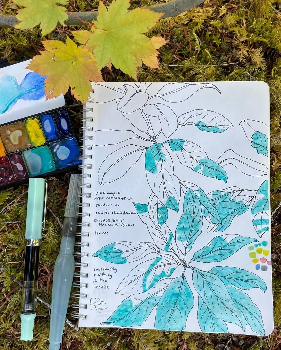 Are you having fun journaling along with  #NatureJournalingOctober? 🩵 Our host, Robin Lee Carslon sent us this shadow page from Day 4 “ Shadows on Leaves” to share with you! www.RobinLeeCarslon.com 
We would love to see your work,
