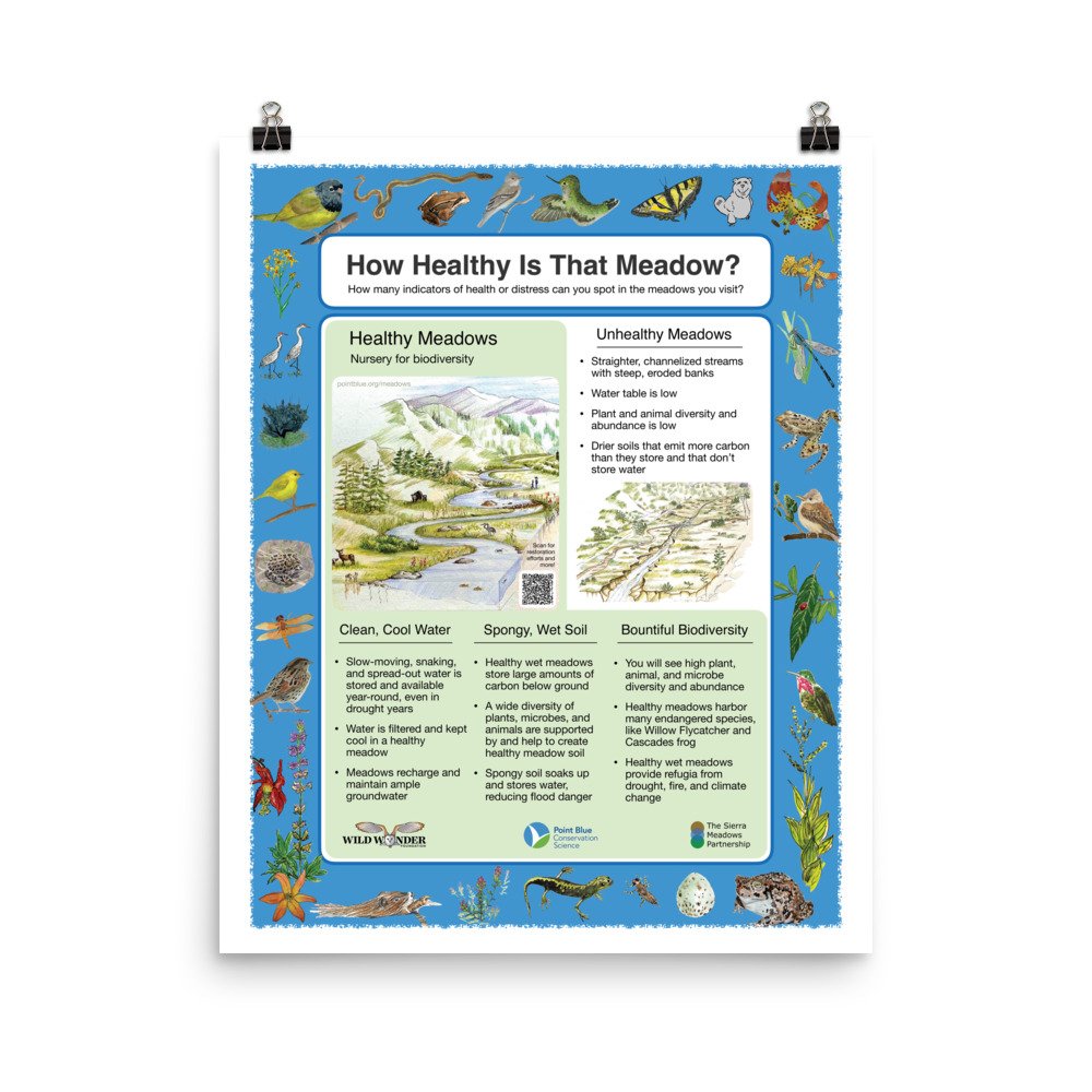 enhanced-matte-paper-poster-(in)-16x20-transparent-66f178f70400f.jpg