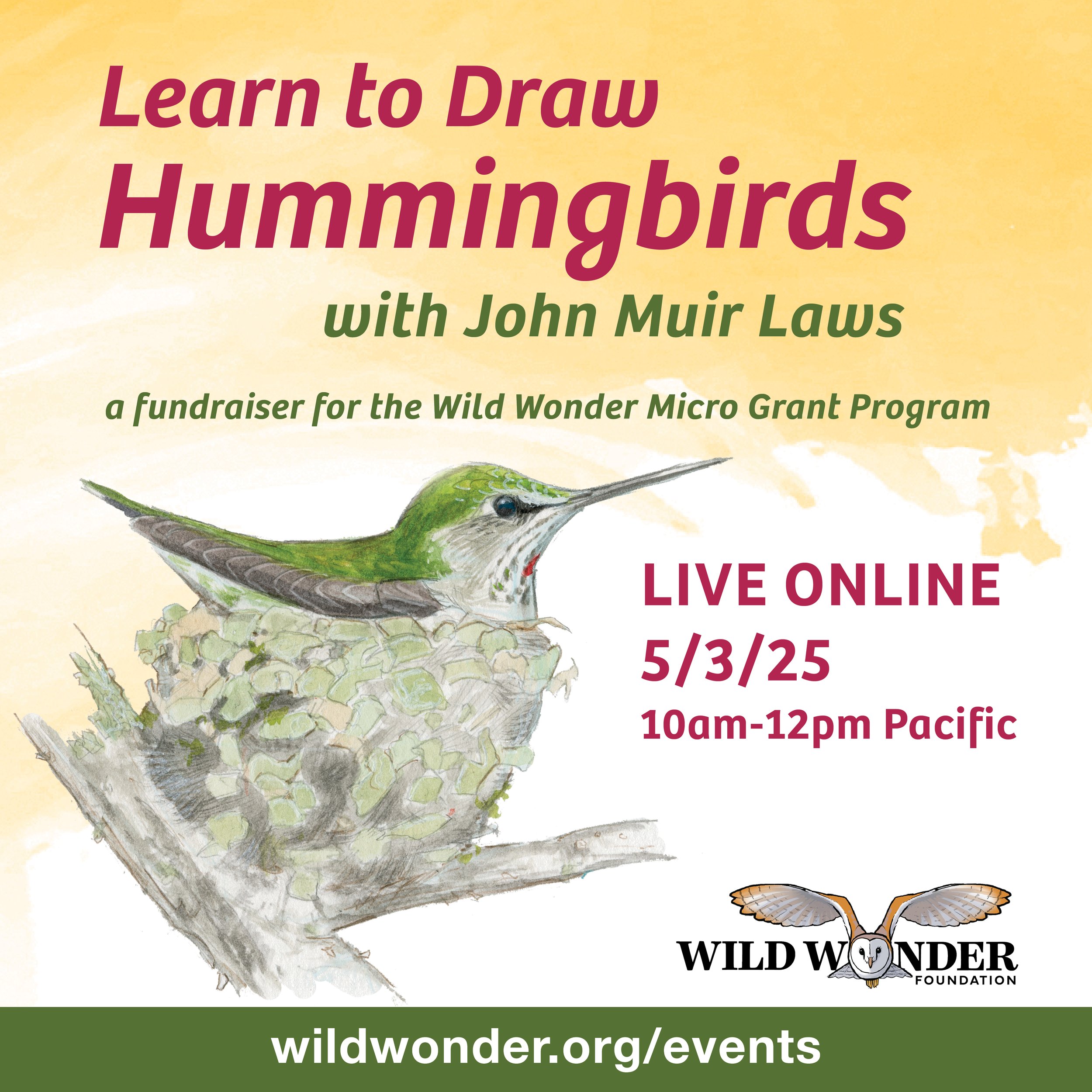 Learn to Draw Hummingbirds_1080x1080_v1.jpg