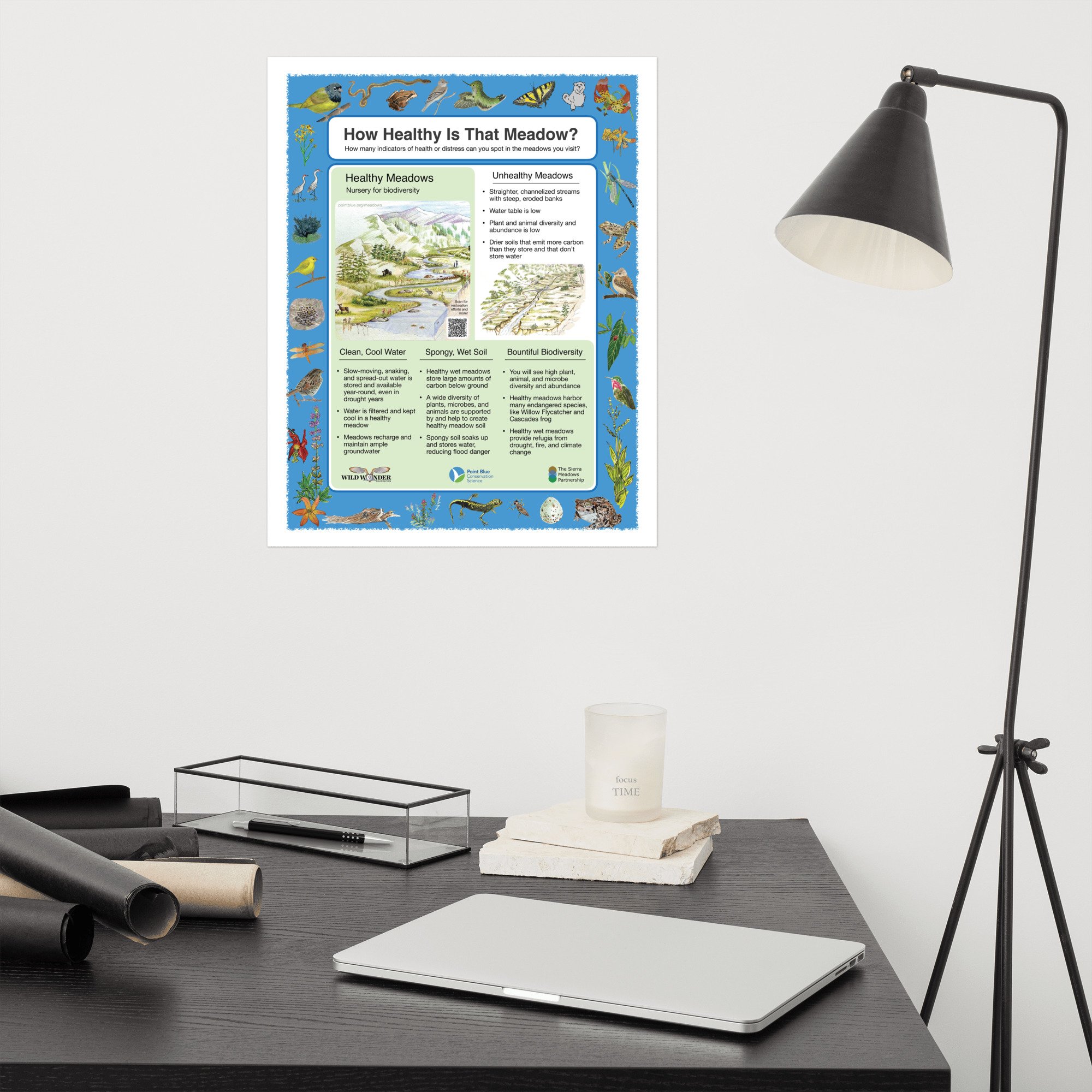 enhanced-matte-paper-poster-(in)-16x20-front-66f178f7040da.jpg