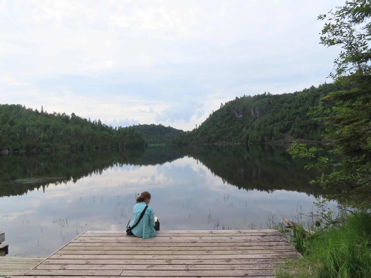 2026 Wolf Ridge Nature Journaling Summer Camp — Wild Wonder Foundation