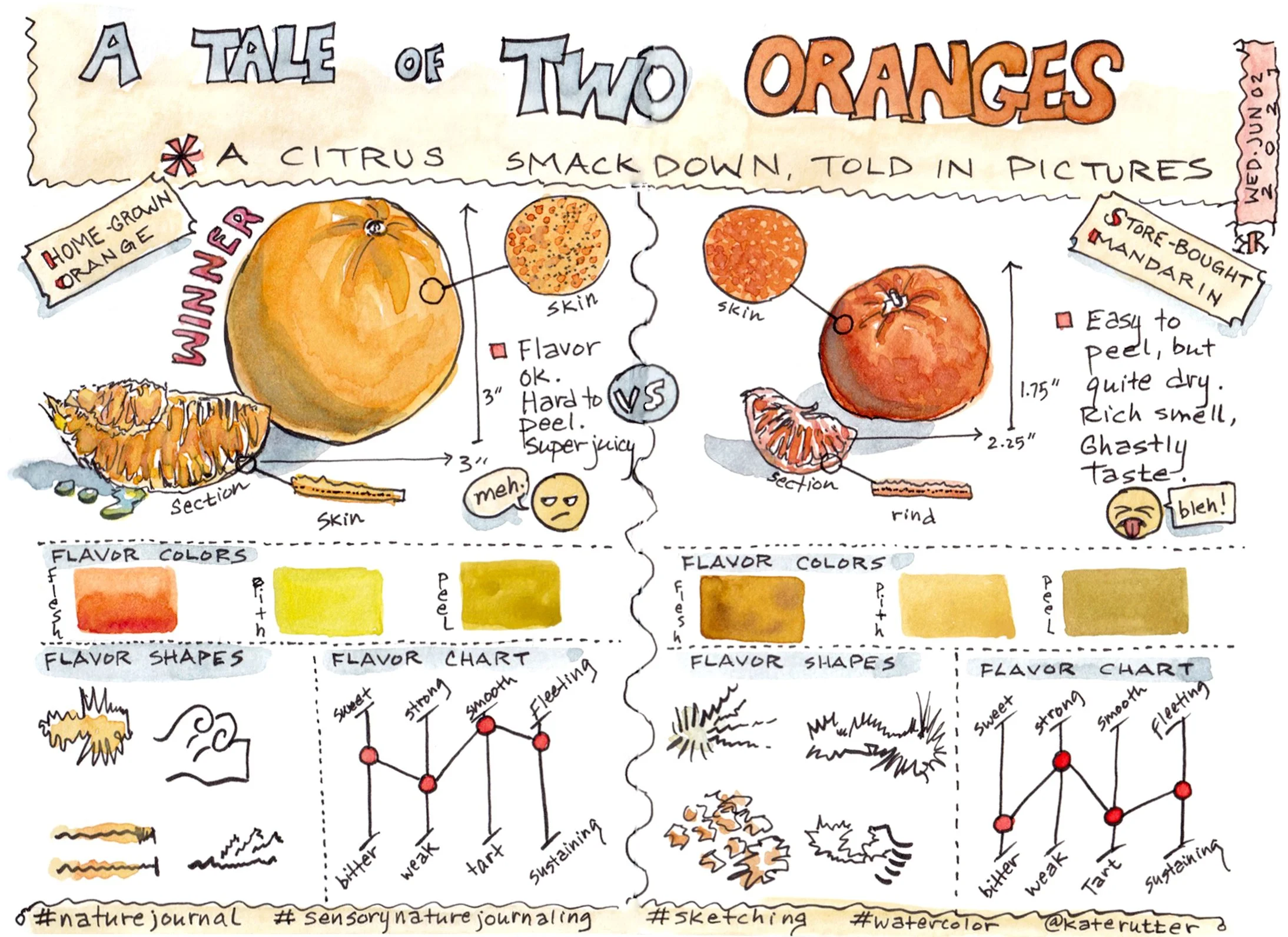 What is Nature Journaling? — Wild Wonder Foundation