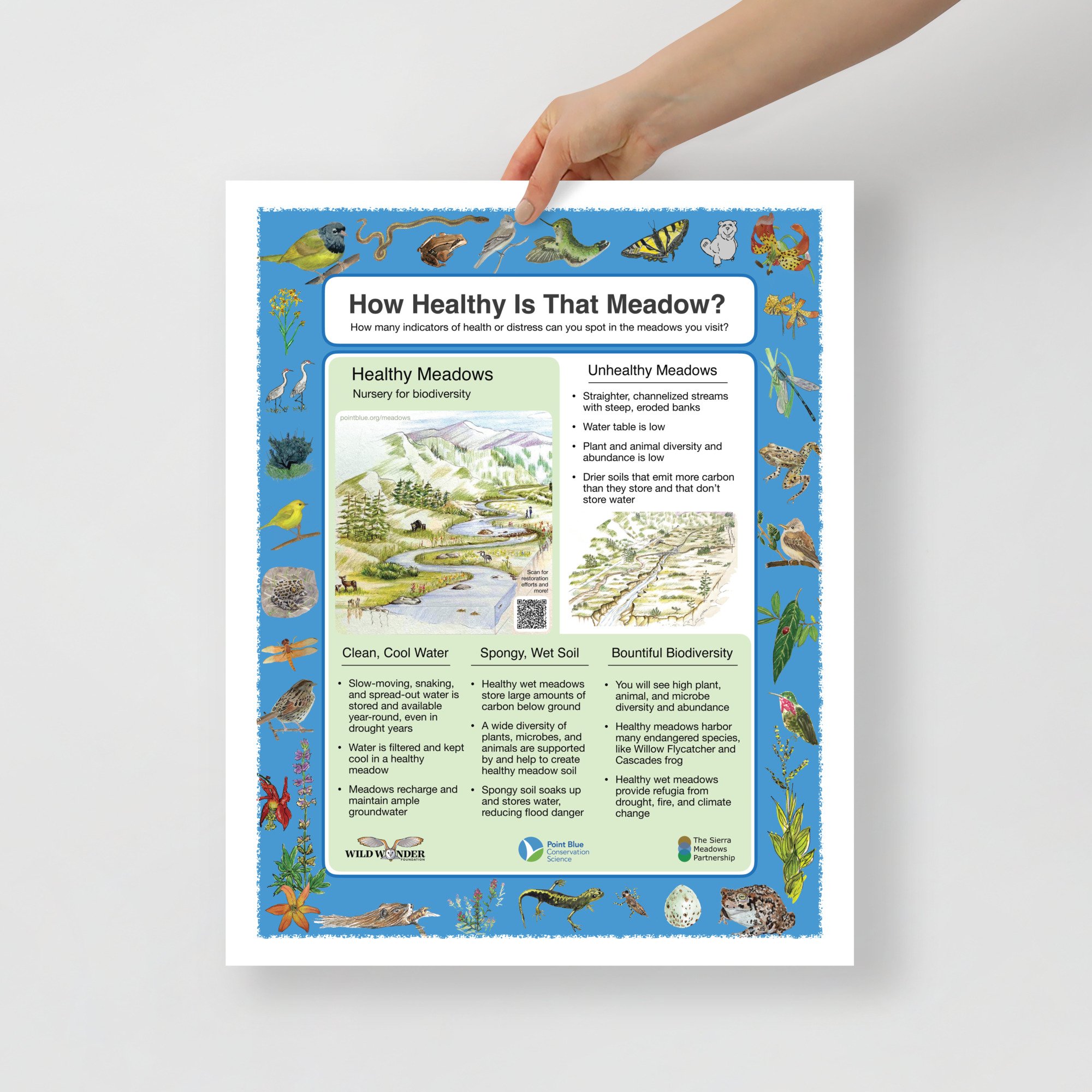 enhanced-matte-paper-poster-(in)-16x20-front-66f178f704141.jpg