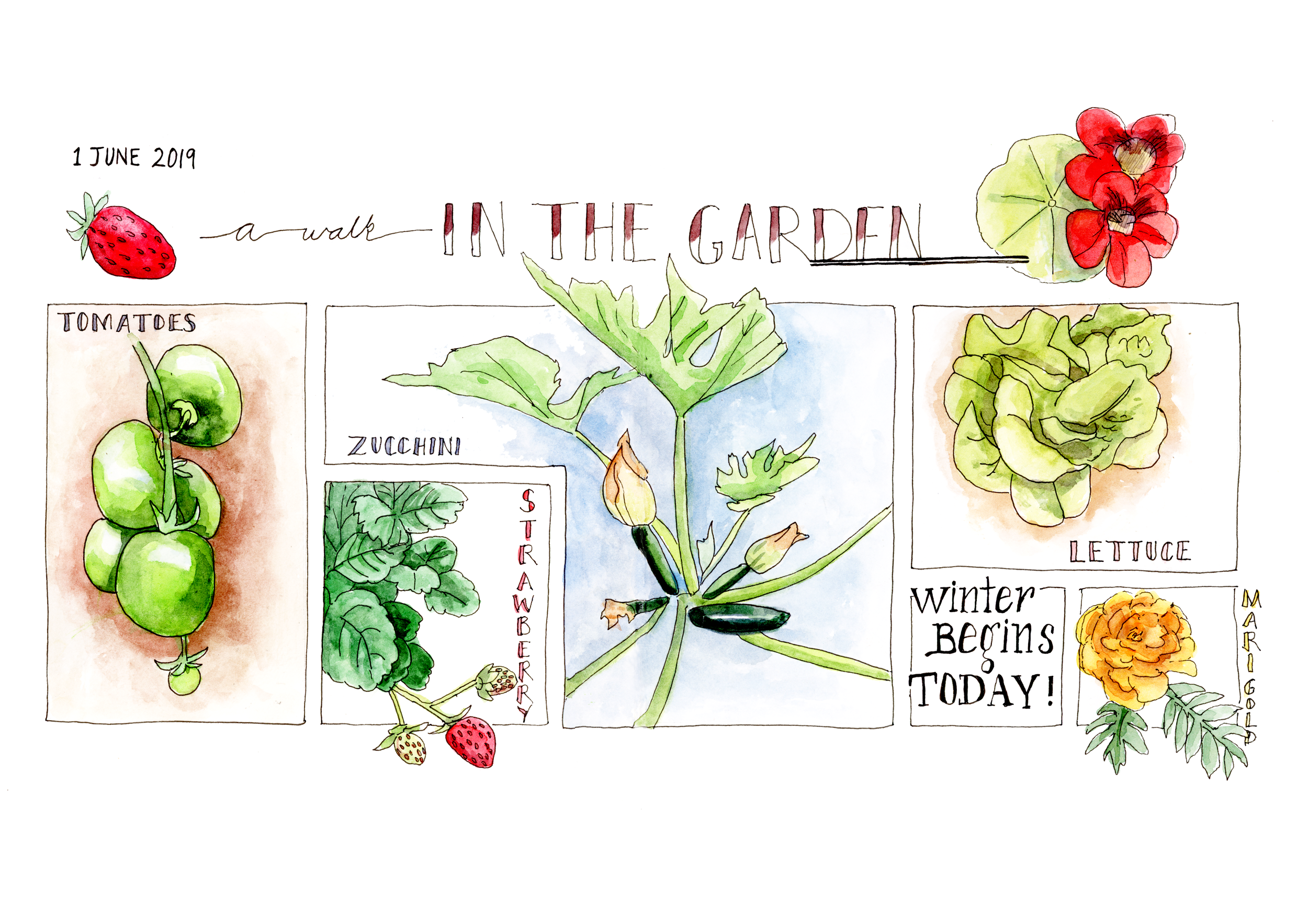 In the garden.png