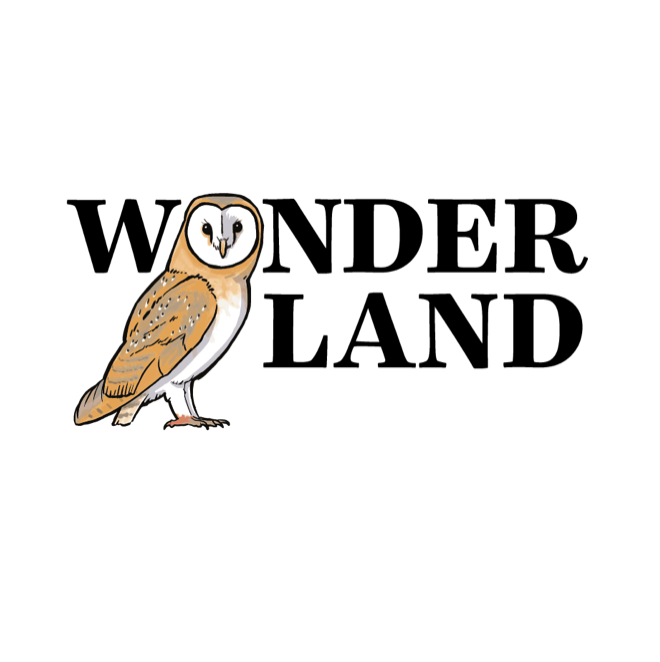 Screenshot 2024-07-10 at 8.02.25 PM.png