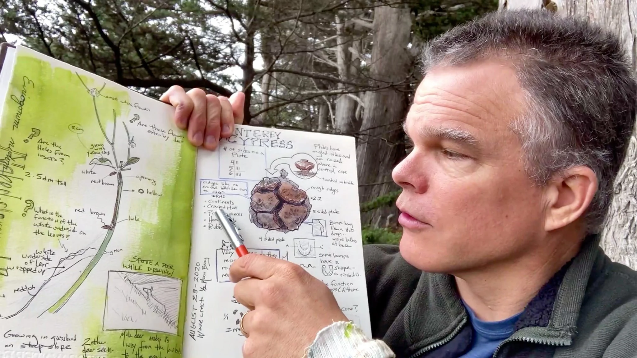 What is Nature Journaling? — Wild Wonder Foundation