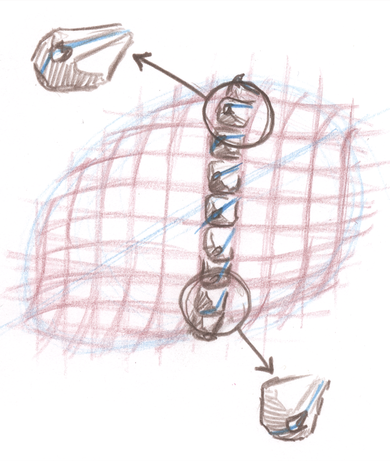 pinecone-sketch-JML.png