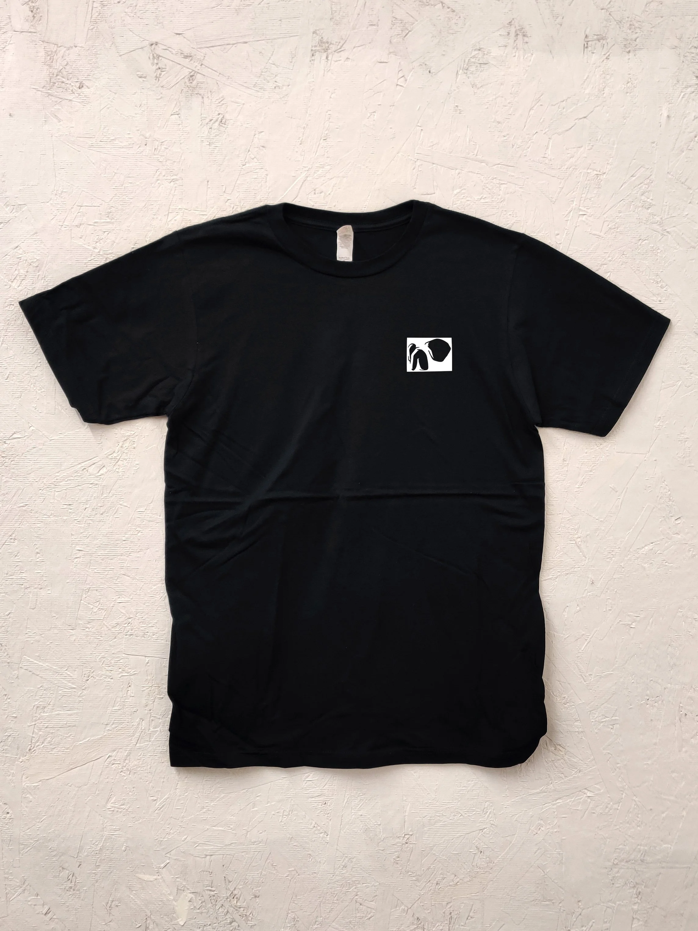 PandempicTee-BlackTee.jpg