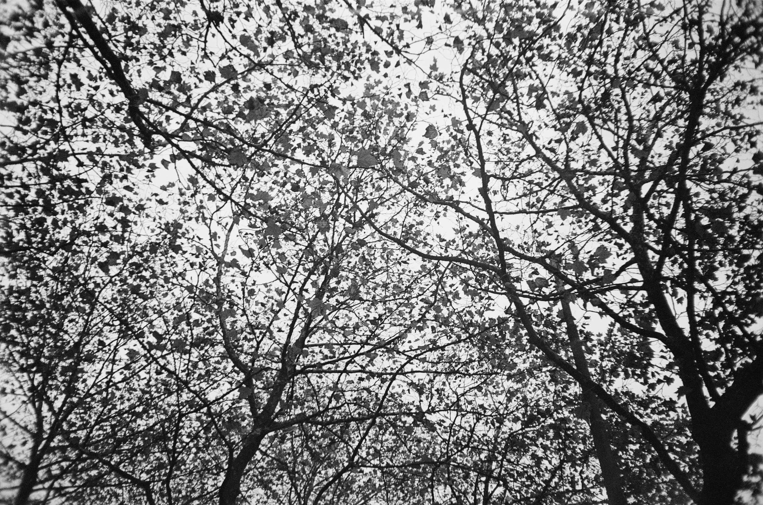 IMG_9111.jpeg