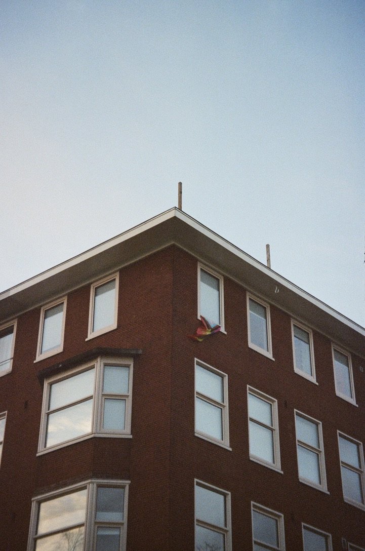 CF8D669B-9453-4C44-9109-999142050501_1_105_c.jpeg