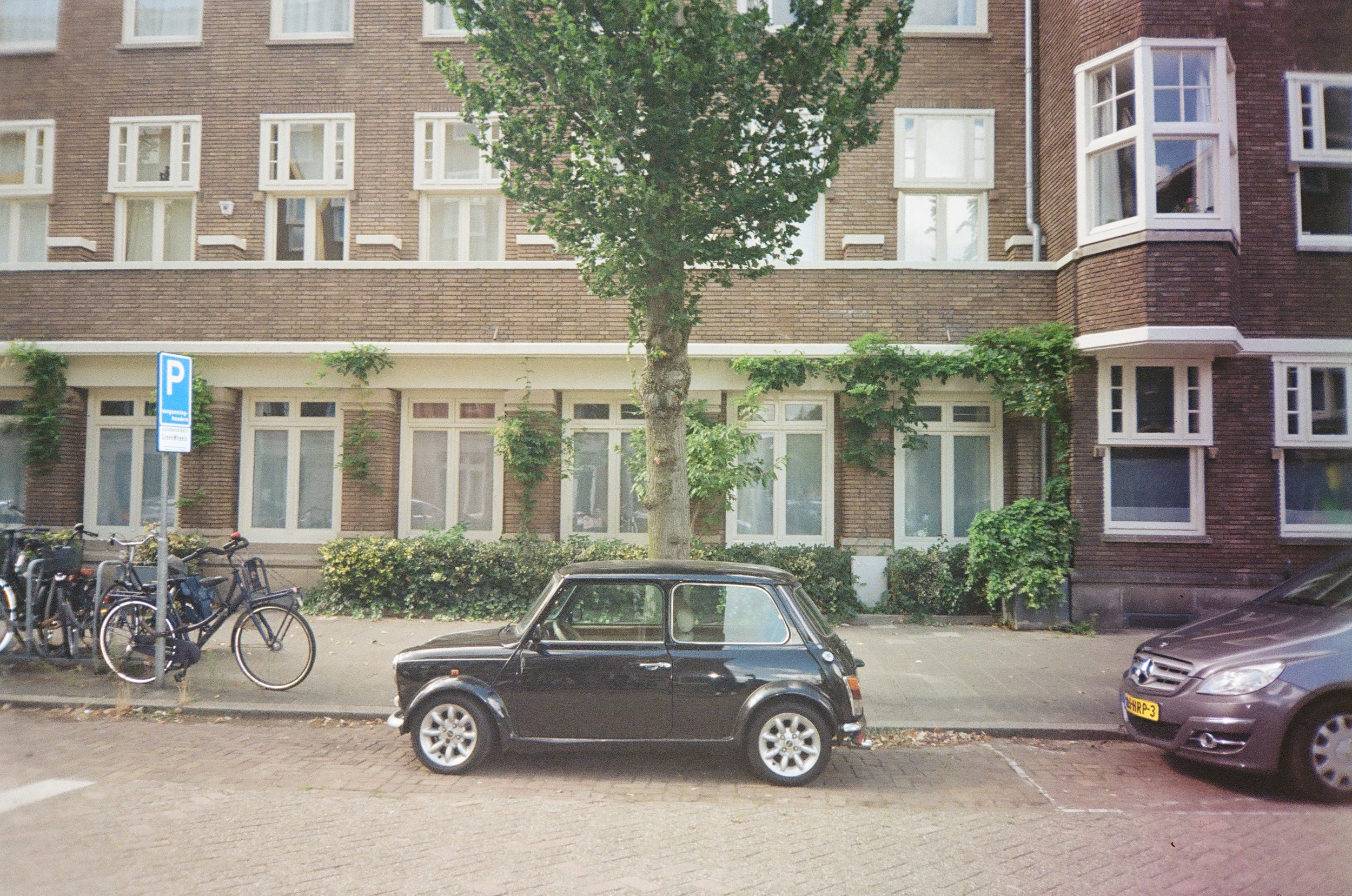 IMG_8566.jpeg