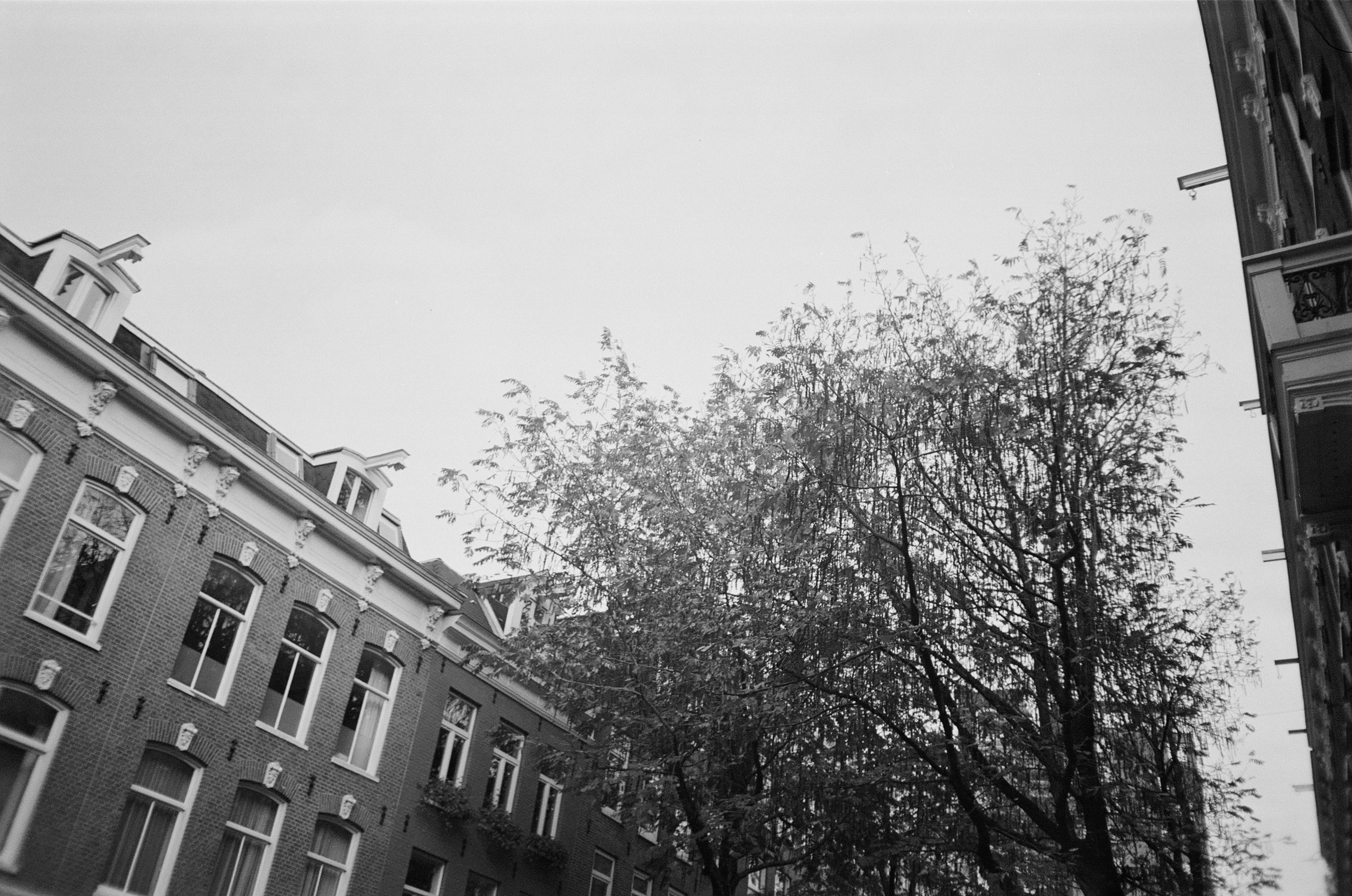 IMG_9117.jpeg