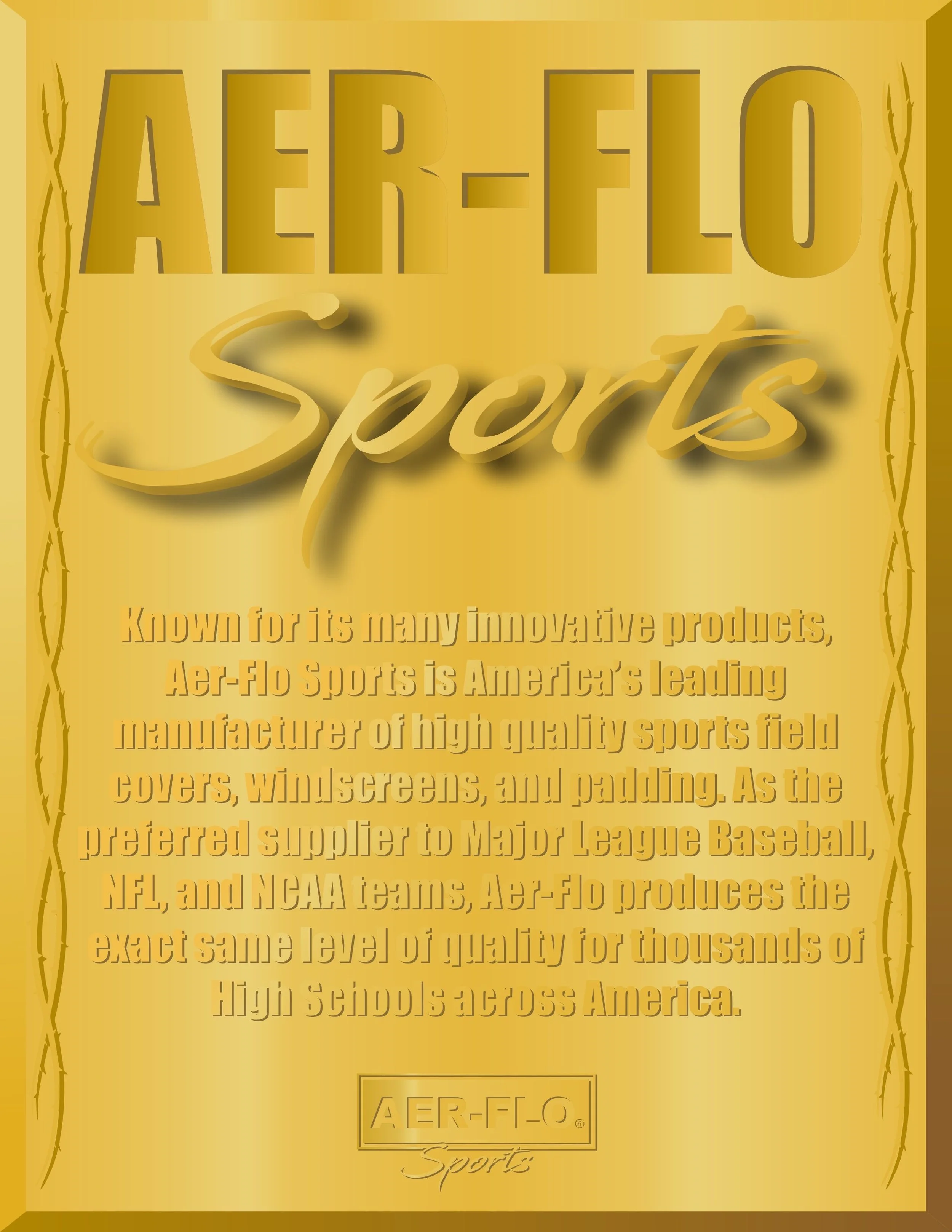 "Aer-Flo Sports" - Graphic Design