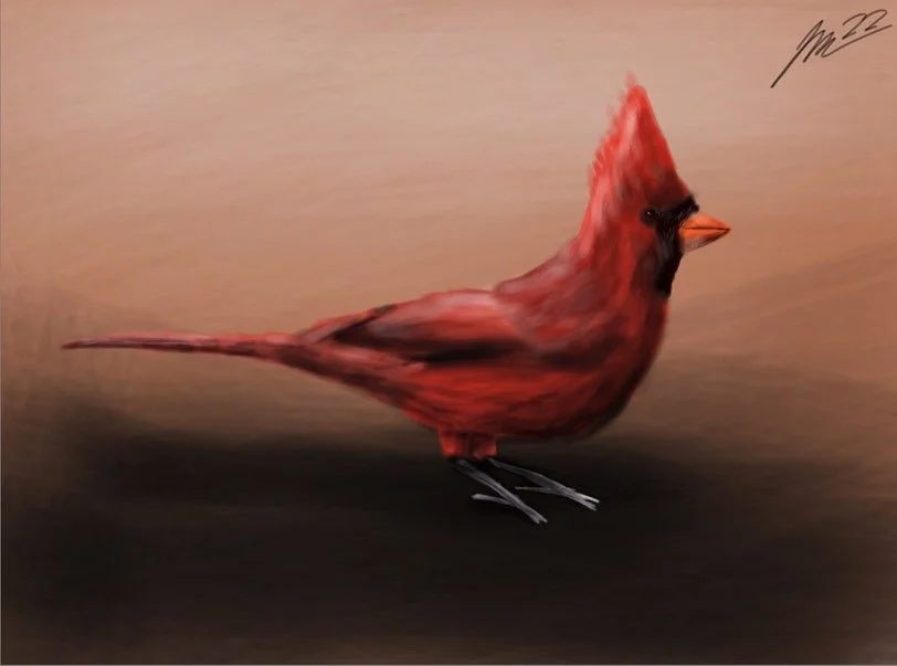 "Cardinal Bird" - Digital Piece